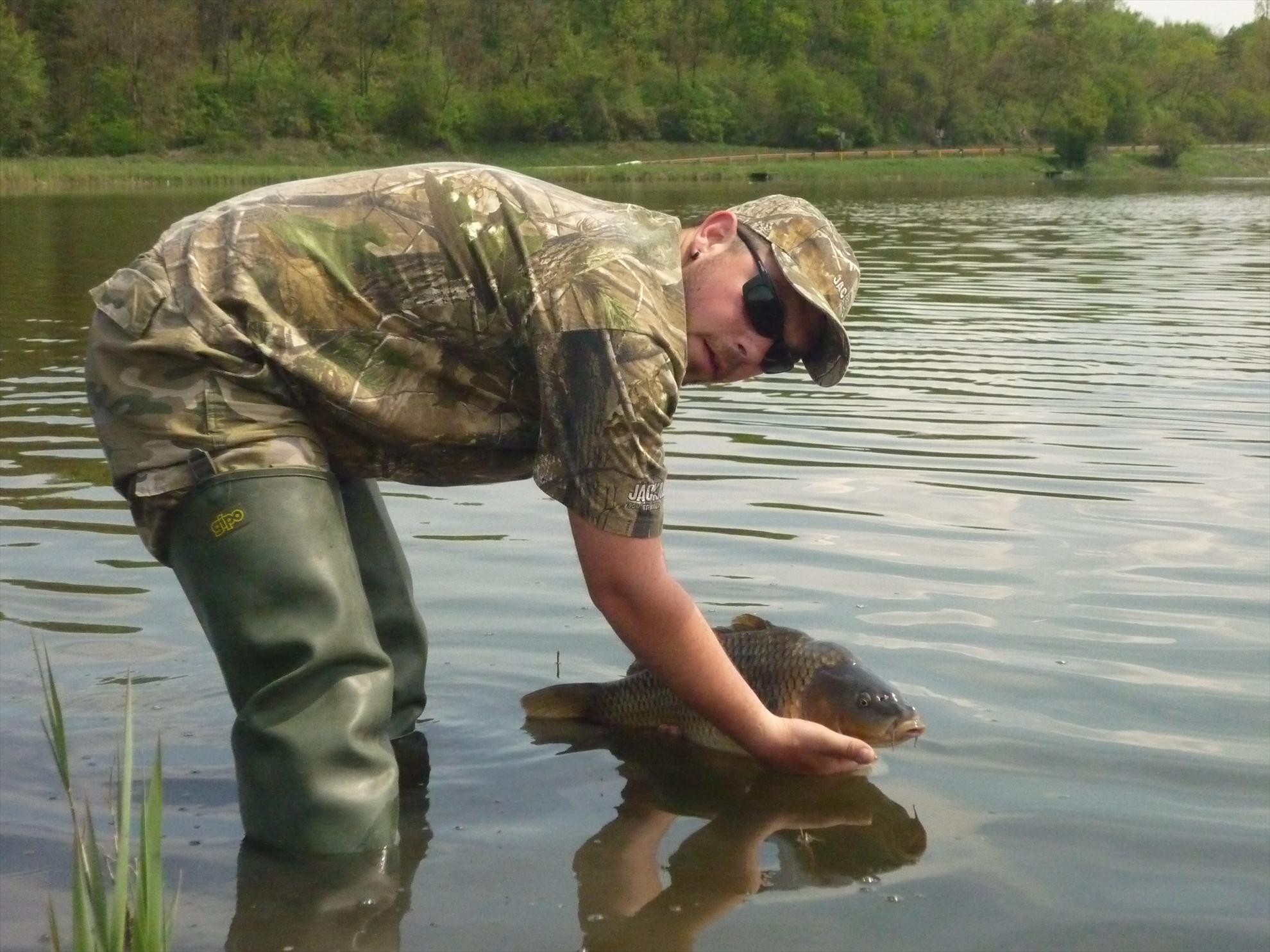 Stejeris 2011 - p1020012.JPG